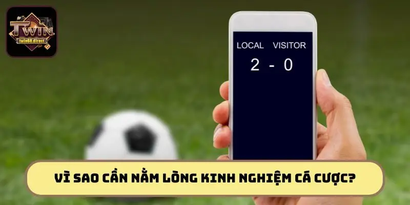 Kinh Nghiệm Cá Cược Twin68: Mẹo Đắt Giá Giúp Bạn Thắng Lớn 1 Kinh nghiệm cá cược chính là chìa khóa mở ra thành công thắng lớn